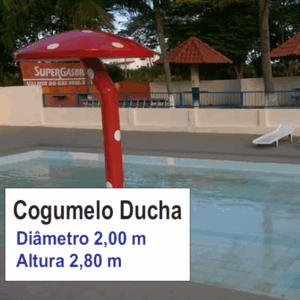 Cogumelo Ducha